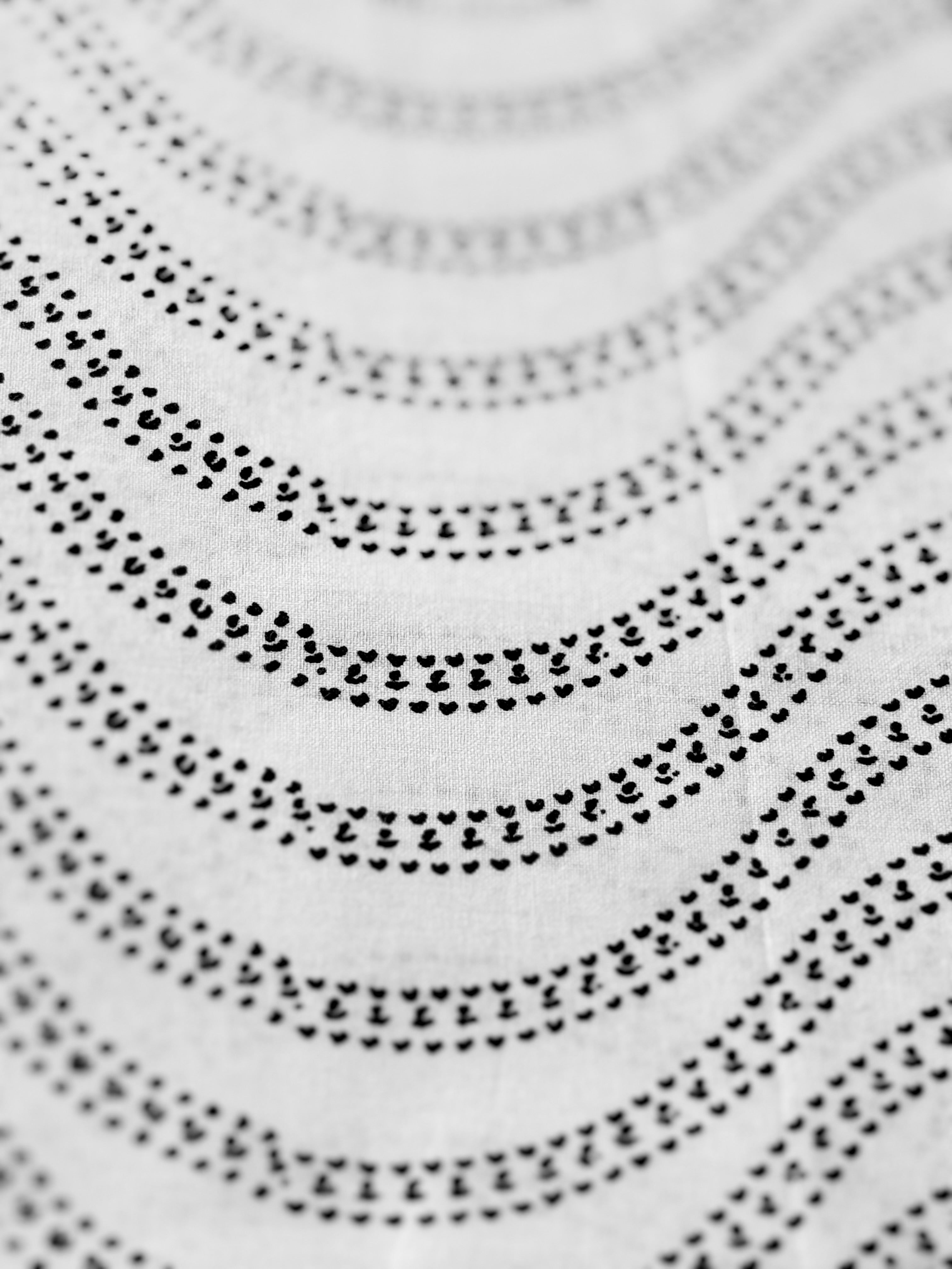 Noir et Blanc | Woodin – 100% Cotton sold by the yard