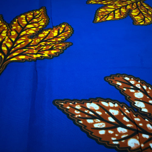 Foliation pattern on a blue background